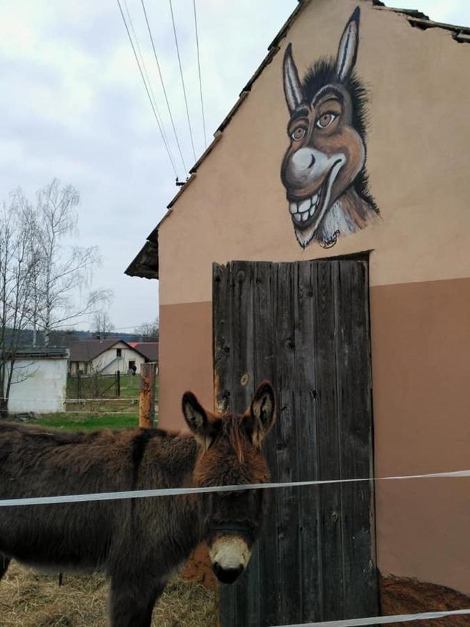 Penzion U Kmotra Borovany  Exterior foto